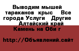 Выводим мышей ,тараканов, крыс. - Все города Услуги » Другие   . Алтайский край,Камень-на-Оби г.